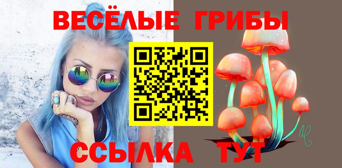 Галлюциногенные грибы мицелий  Псилоцибиновые грибы Psilocybe  Кропоткин  Вход с VPN 
