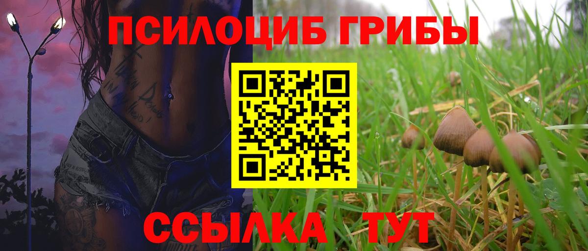 Галлюциногенные грибы Psilocybine cubensis Кропоткин